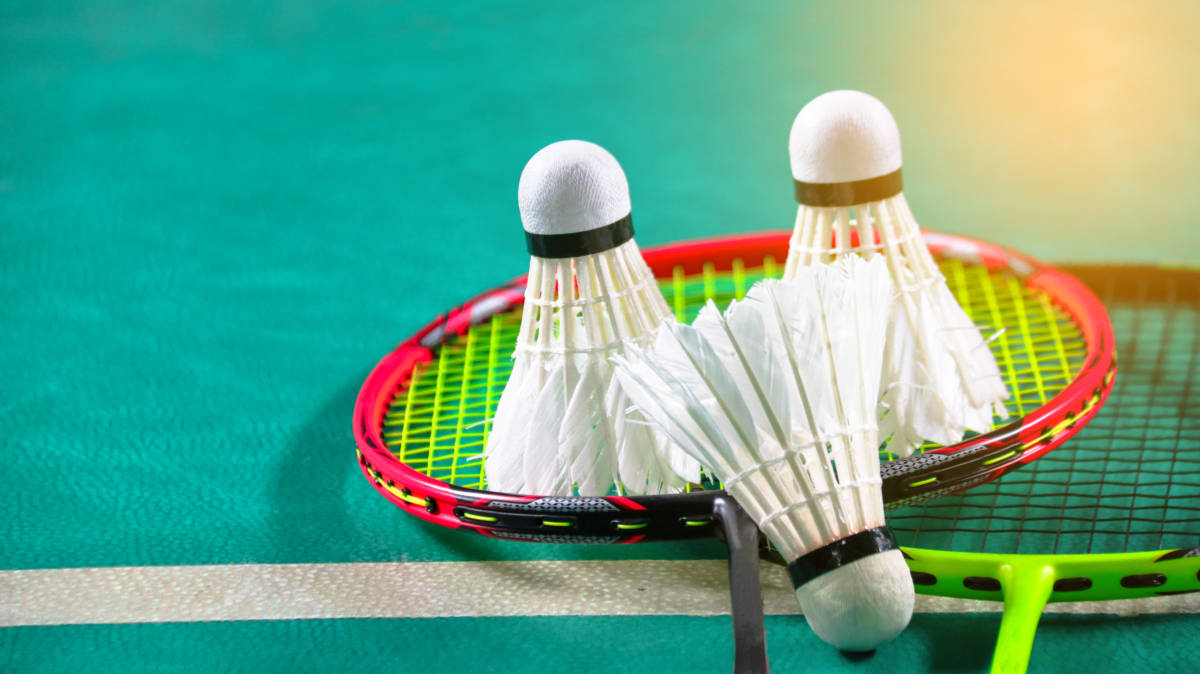 也给绍普莱 也给绍普莱